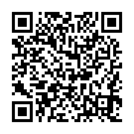 QR code for ZDZ951