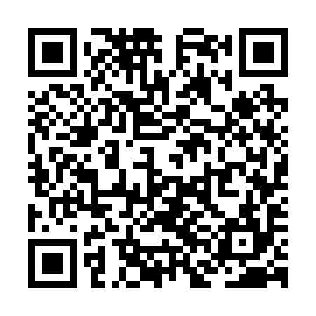 QR code for ZFG294