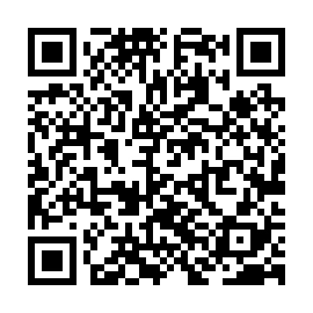 QR code for ZFL228