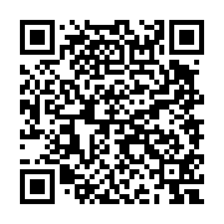 QR code for ZFN411