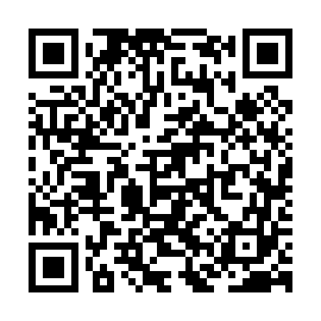 QR code for ZFV063