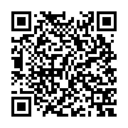 QR code for ZFW374