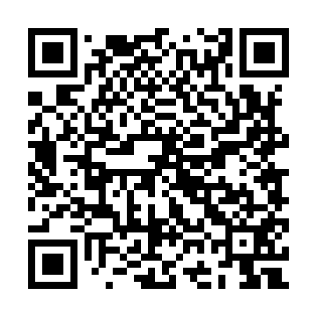 QR code for ZGD951