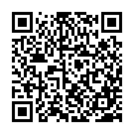 QR code for ZGE386