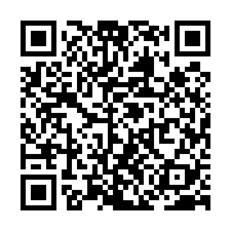 QR code for ZGE529