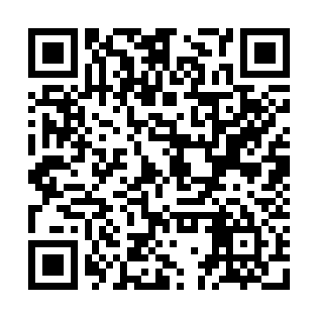 QR code for ZGS335
