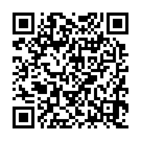 QR code for ZGT370