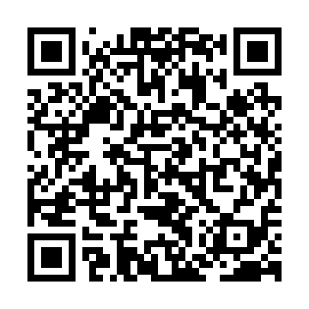 QR code for ZGU219