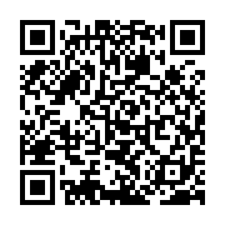 QR code for ZGU991