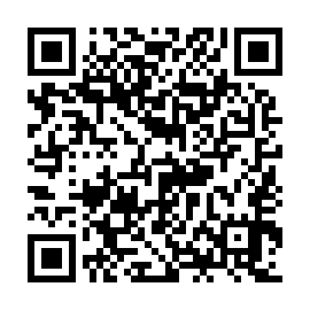 QR code for ZHN955