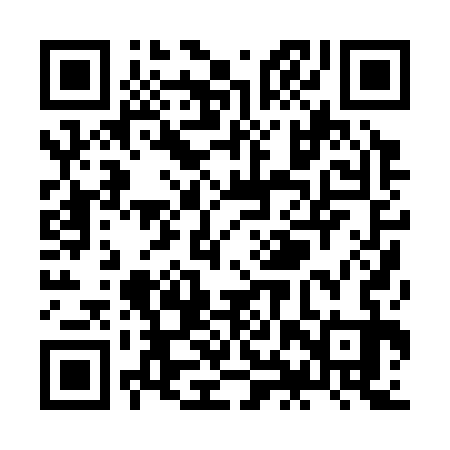 QR code for ZHP333