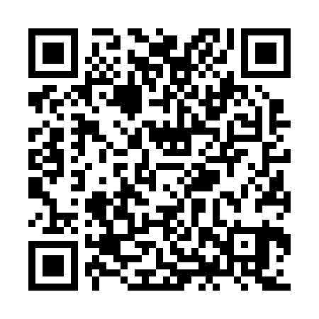 QR code for ZHV221
