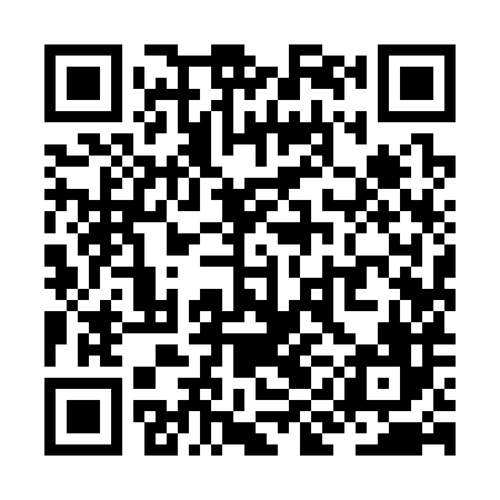 QR code for ZII386