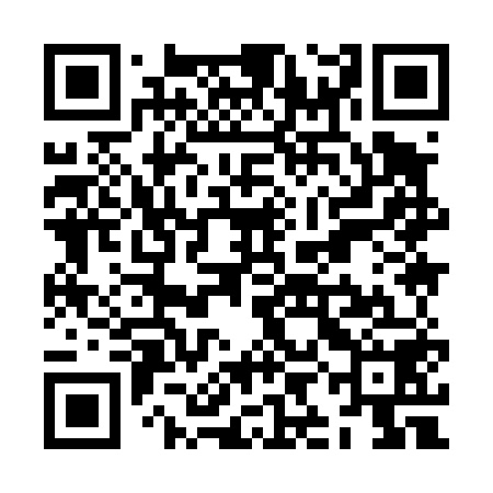 QR code for ZII458