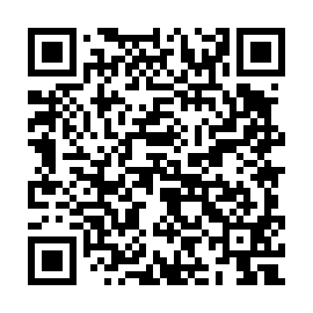 QR code for ZIM491