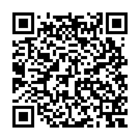 QR code for ZIR312