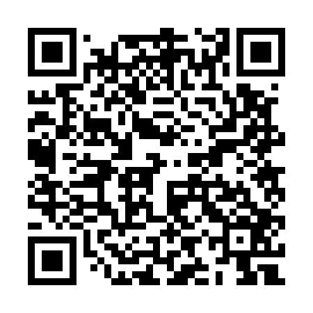 QR code for ZIR506