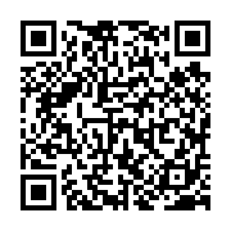 QR code for ZIZ610