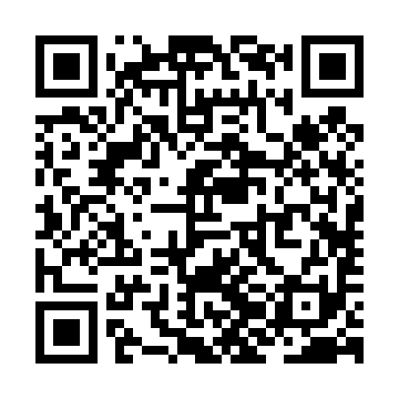 QR code for ZJB491