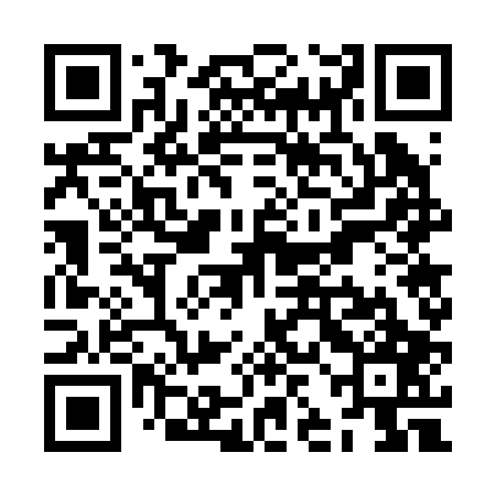 QR code for ZJG207