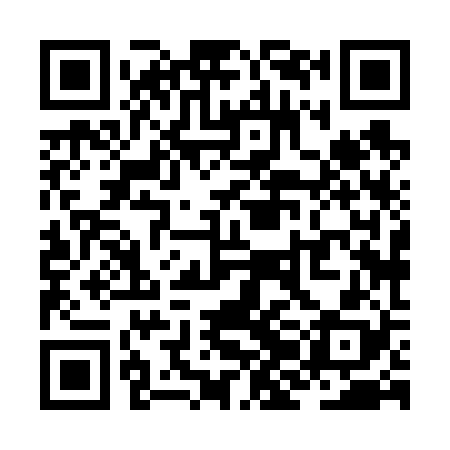 QR code for ZJH628