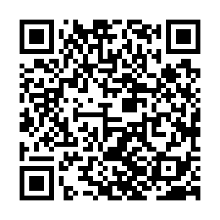 QR code for ZJH739