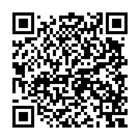 QR code for ZJP487