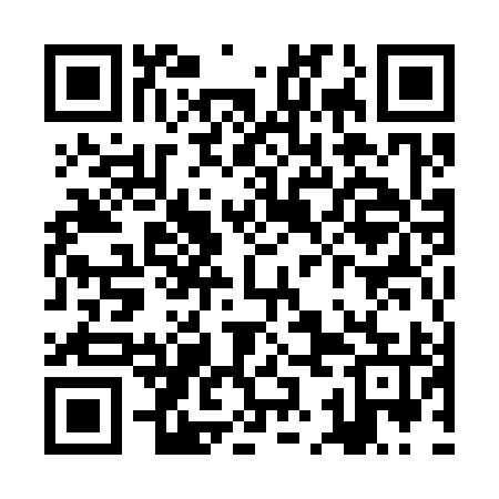 QR code for ZKM395
