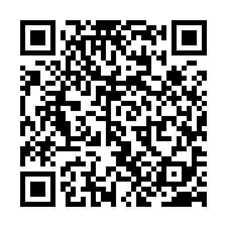 QR code for ZKM999