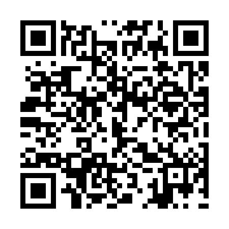 QR code for ZKT382