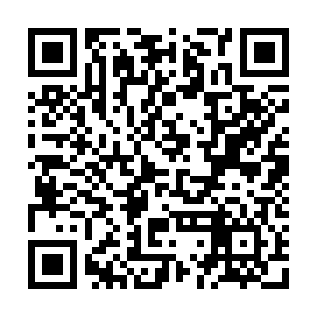 QR code for ZLC306