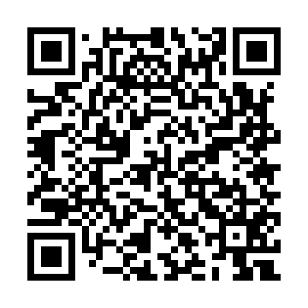 QR code for ZLE955