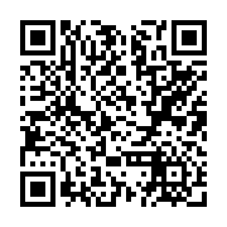 QR code for ZLH216