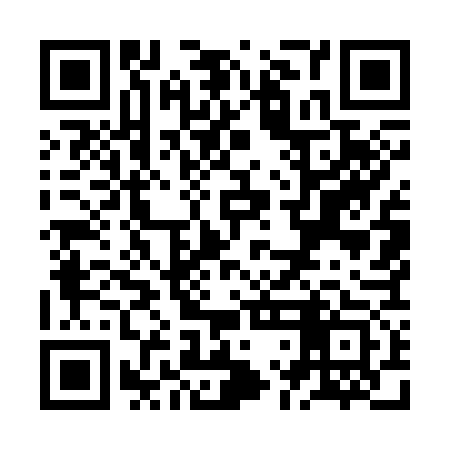 QR code for ZLM373