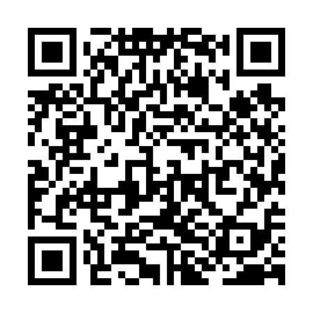 QR code for ZLM619