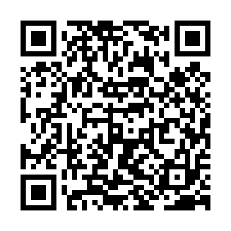 QR code for ZLU413