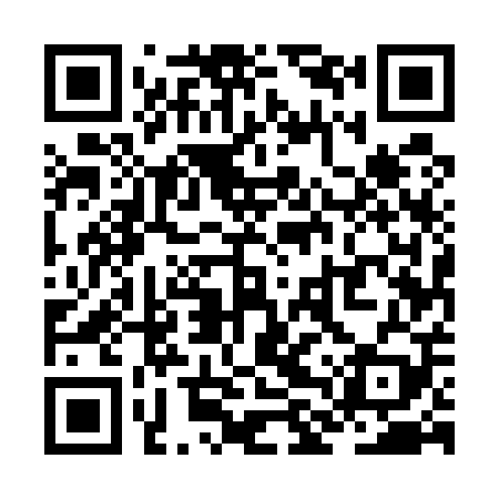 QR code for ZLU509