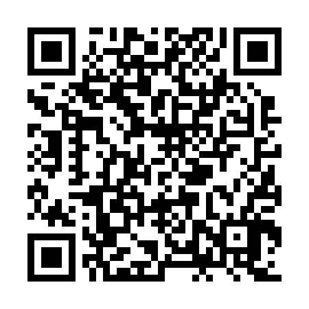 QR code for ZLV206