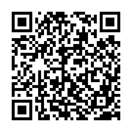 QR code for ZLV666