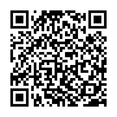 QR code for ZLX028