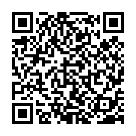 QR code for ZMN419