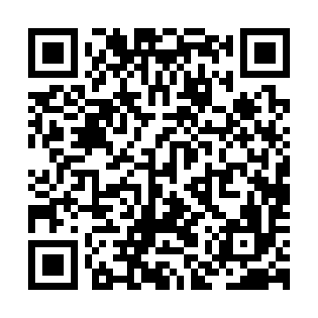 QR code for ZMP396