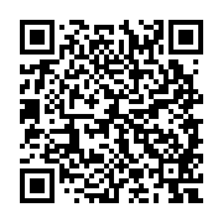 QR code for ZMT389