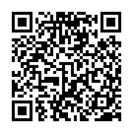 QR code for ZMU241