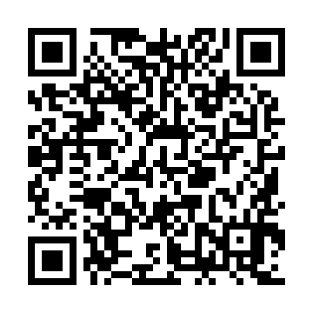 QR code for ZNY994