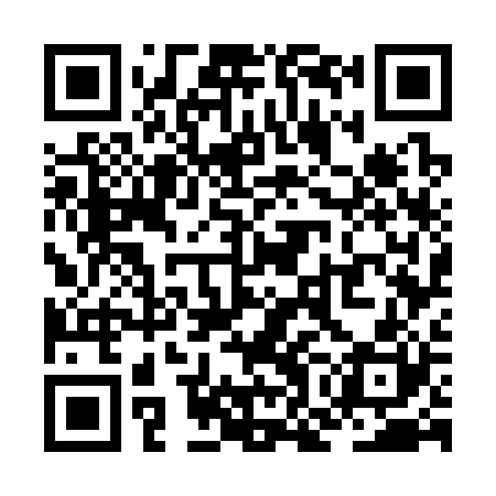 QR code for ZOG320