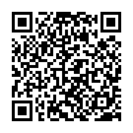 QR code for ZON595