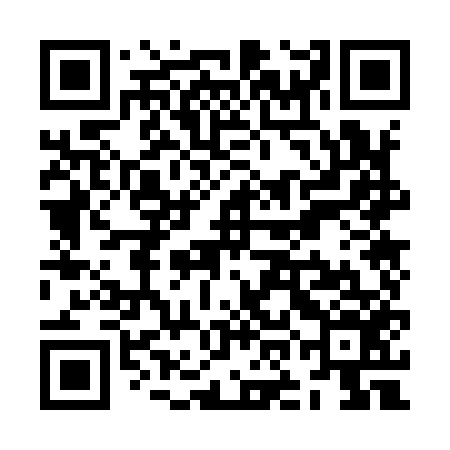QR code for ZOO956