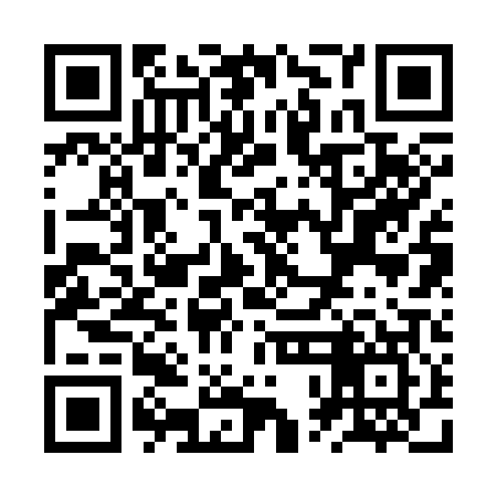 QR code for ZPB307