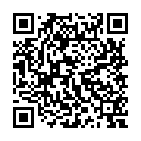QR code for ZPJ951